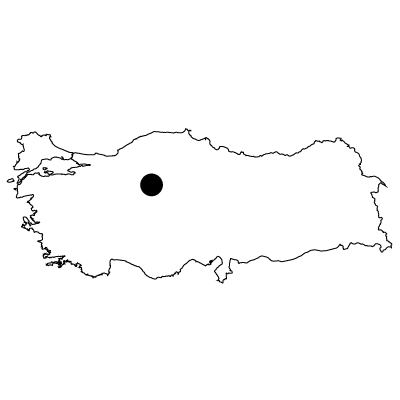 トルコ共和国無料フリーイラスト｜首都(白)